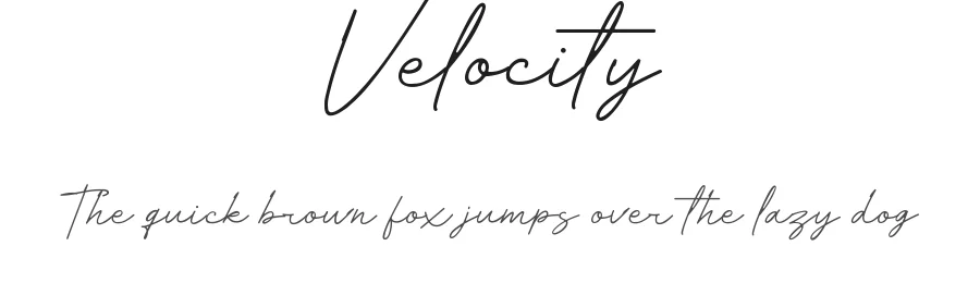 Velocity