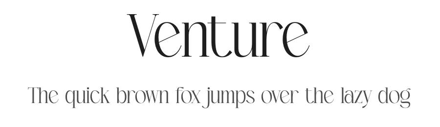 Venture
