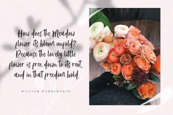 Vetto Rosella Font by Graphicfresh — Script Handwritten Font — thumbnail 6