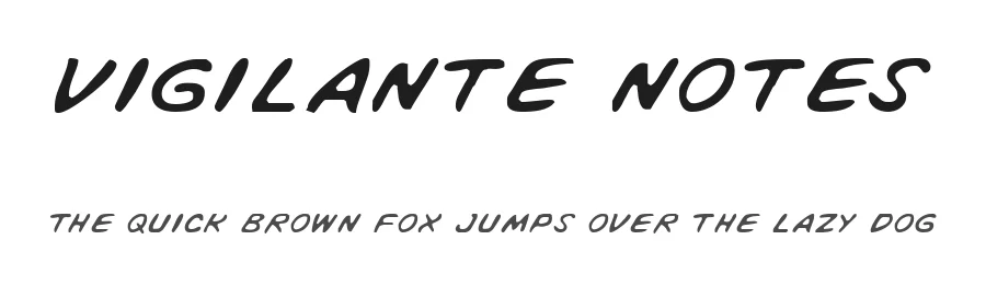 Vigilante Notes