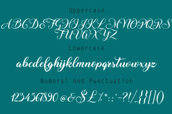 Vintage Font by Rudistudio — Script Handwritten Font — thumbnail 6