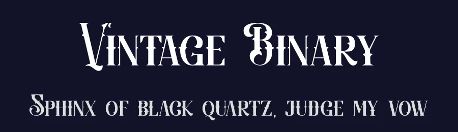 Vintage Binary by PutraCetol Studio — Decorative Font — thumbnail 2