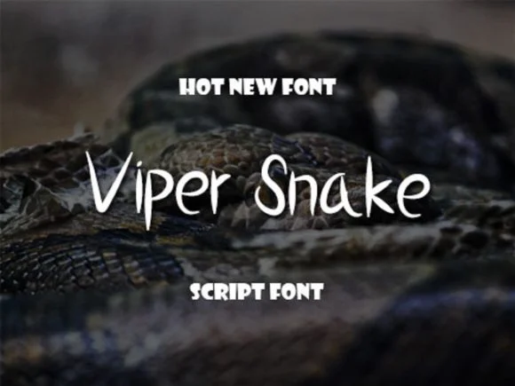 Viper Snake Font by scriptstrategy — Script Handwritten Font