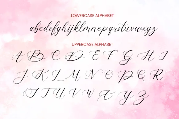 Virginia Daniela Font by Elroy Digital Studio — Script Handwritten Font — thumbnail 7