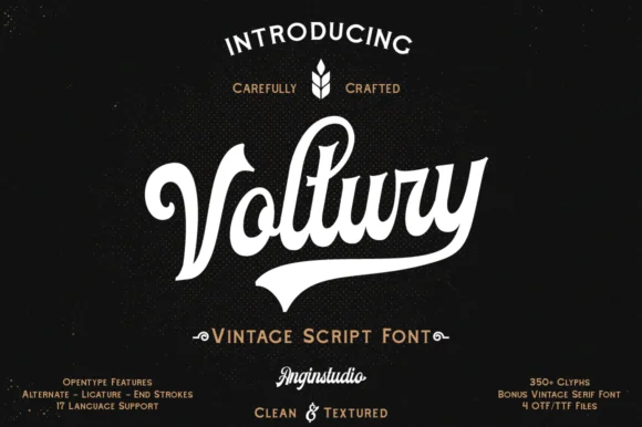 Voltury Font by Angin Studio — Script Handwritten Font