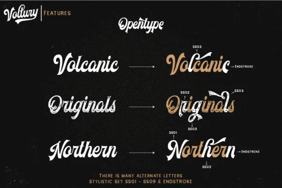 Voltury Font by Angin Studio — Script Handwritten Font — thumbnail 4