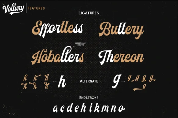 Voltury Font by Angin Studio — Script Handwritten Font — thumbnail 5