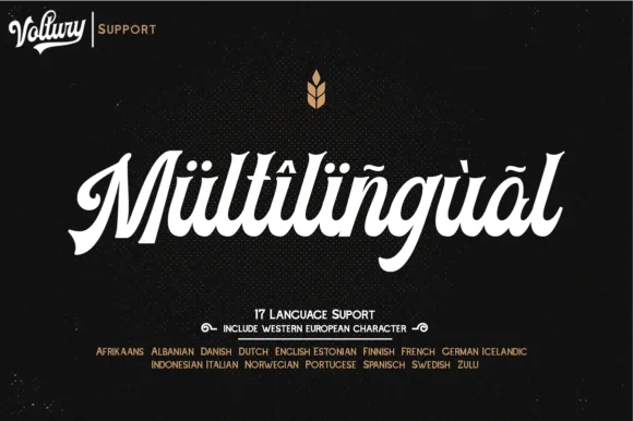 Voltury Font by Angin Studio — Script Handwritten Font — thumbnail 6