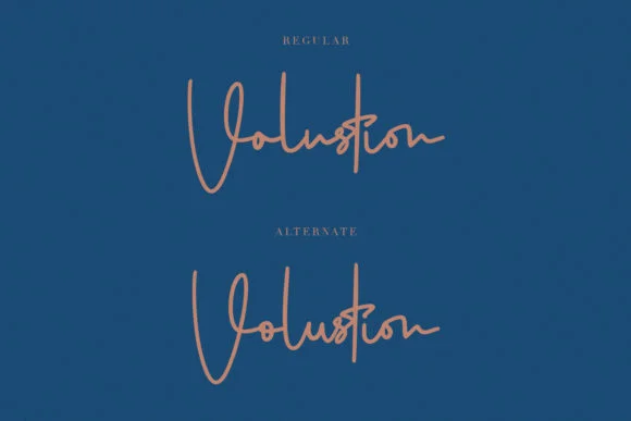 Volustion Font by Maulana Creative — Script Handwritten Font — thumbnail 2
