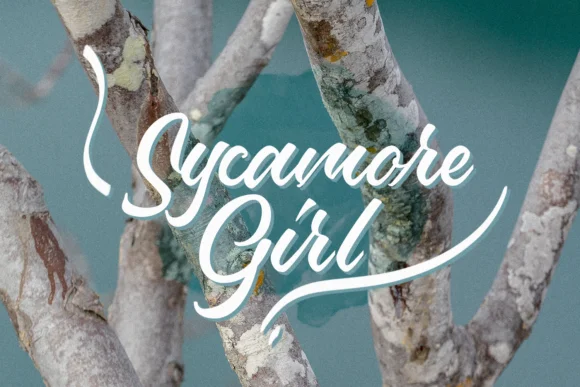Vorsatille Font by Maulana Creative — Script Handwritten Font — thumbnail 8