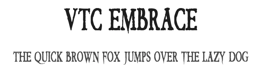 VTC Embrace