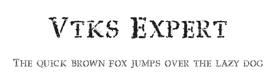 Vtks Expert
