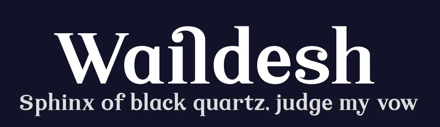 Waildesh by Storytype Studio — Serif Font — thumbnail 2