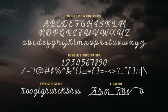 Wailer Font by Maulana Creative — Script Handwritten Font — thumbnail 4