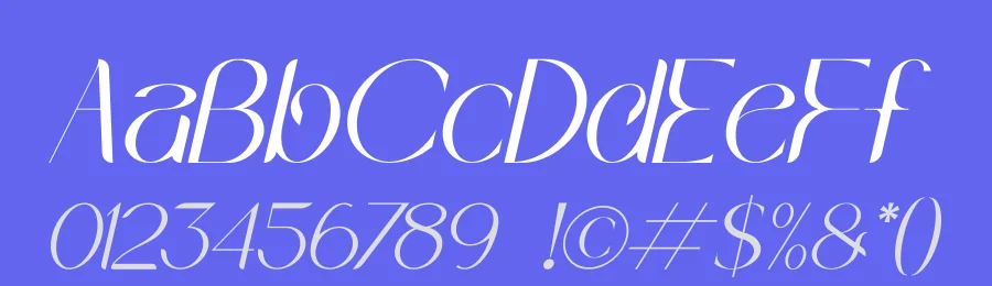 Wakile by Storytype Studio — Decorative Font — thumbnail 3