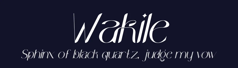 Wakile by Storytype Studio — Decorative Font — thumbnail 2
