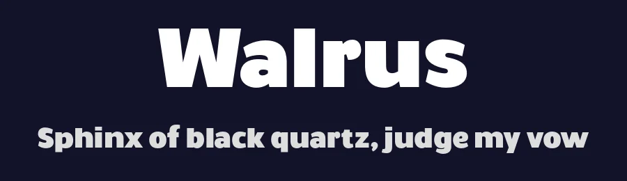 Walrus by Studio Dot by dot — Sans Serif Font — thumbnail 2