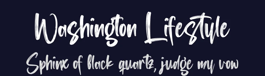 Washington Lifestyle by Perspectype Studio - Letterena.com — Script Handwritten Font — thumbnail 2