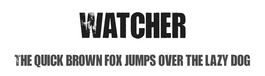 Watcher