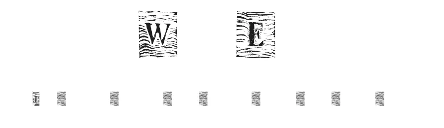 WavEd by Edyta Majewska — Decorative Font