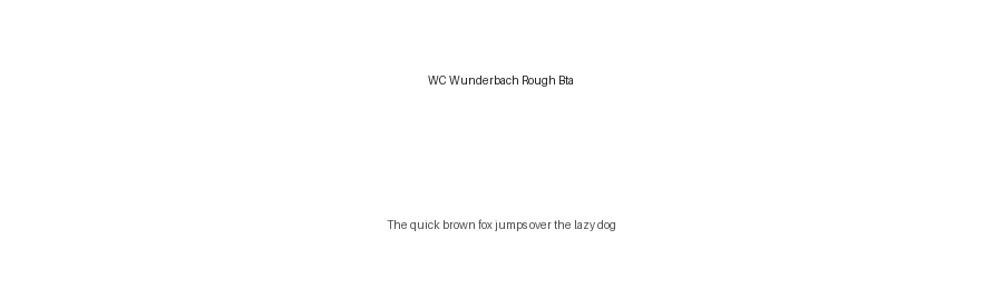 WC Wunderbach Rough Bta by WC Fonts / Atypeek — Decorative Font
