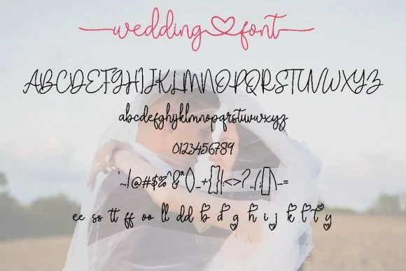 Wedding Font by Pidco.art by Pidco.art — Script Handwritten Font — thumbnail 6