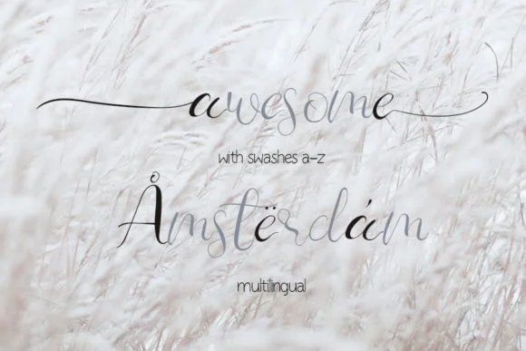 Wedding Romance Font by Creassion Studio — Script Handwritten Font — thumbnail 4