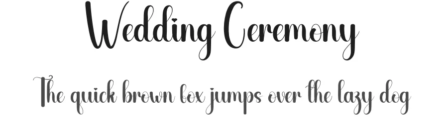 Wedding Ceremony
