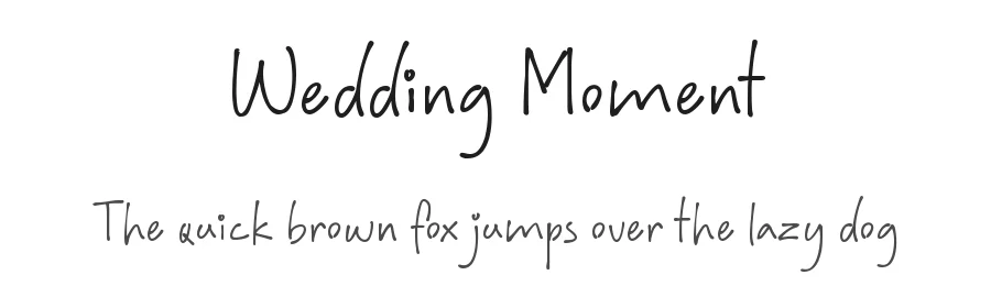 Wedding Moment
