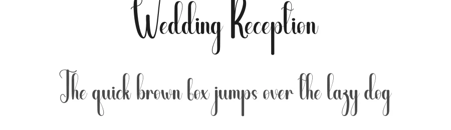Wedding Reception