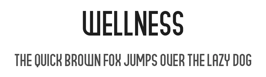 Wellness by Vladimir Nikolic — Sans Serif Font
