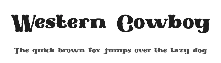 Western Cowboy