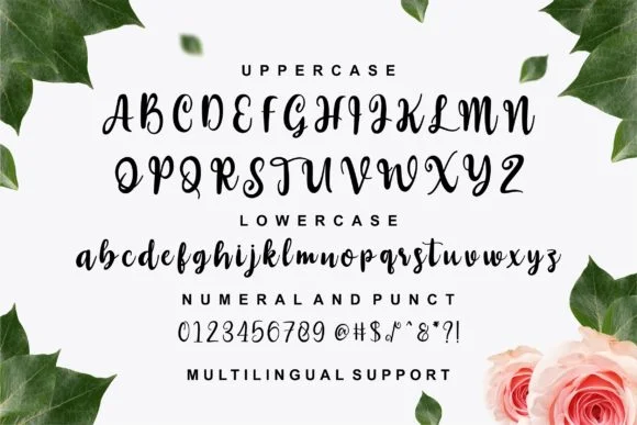 Westline Font by ergibi studio — Script Handwritten Font — thumbnail 8