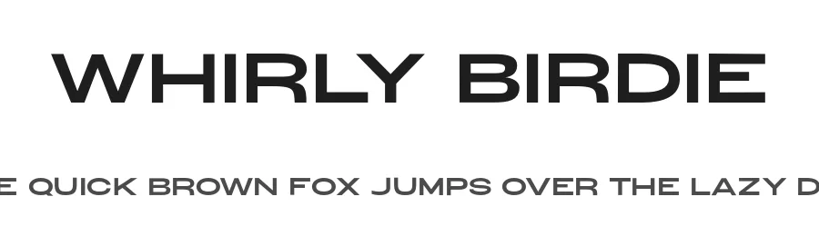 Whirly Birdie by Skyhaven Fonts — Sans Serif Font