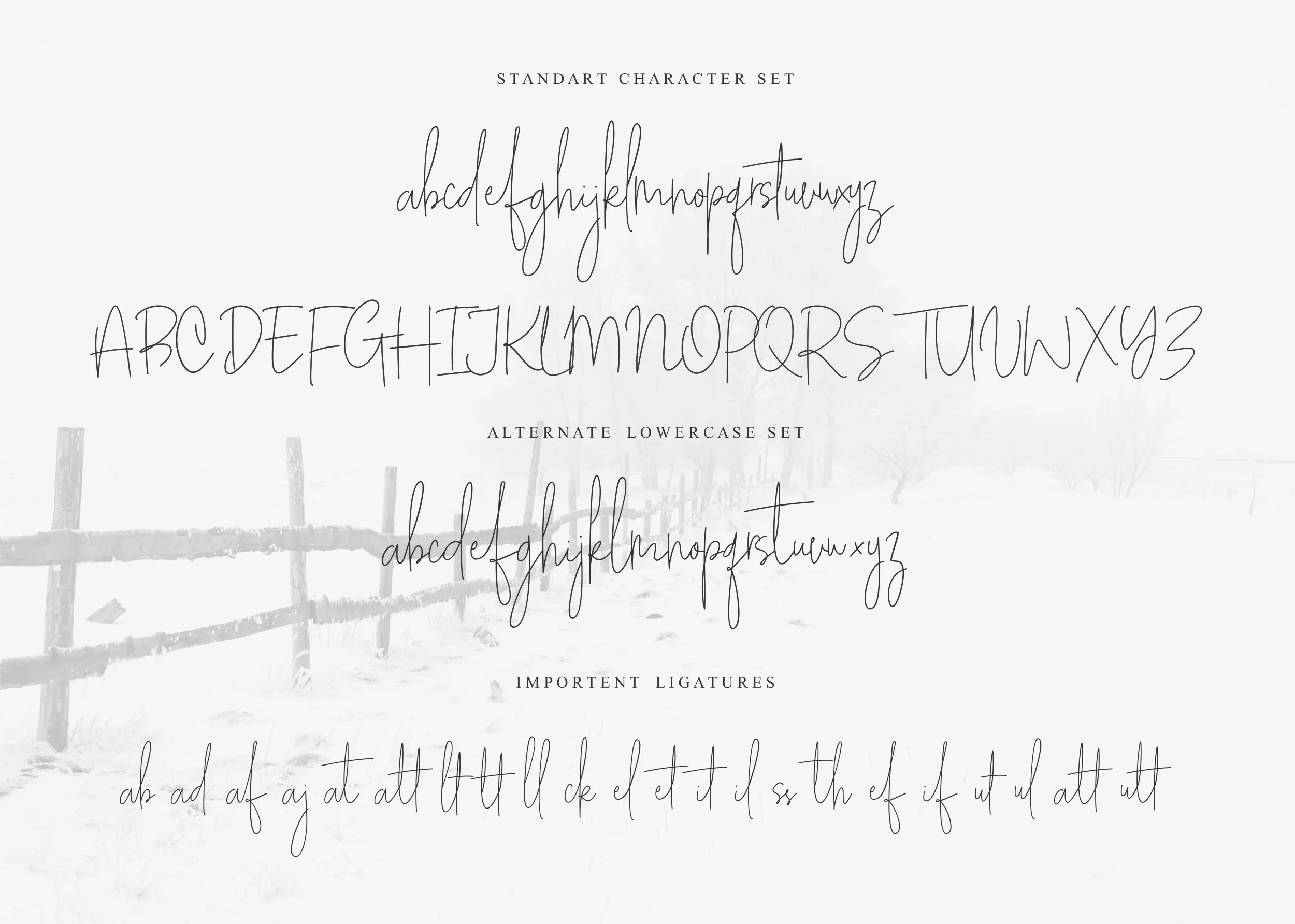 White Apparel Script Font by Graphicfresh — Script Handwritten Font — thumbnail 5