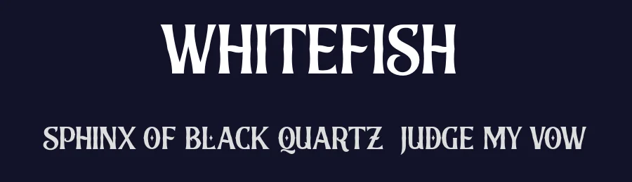 Whitefish by Vunira Design — Sans Serif Font — thumbnail 2