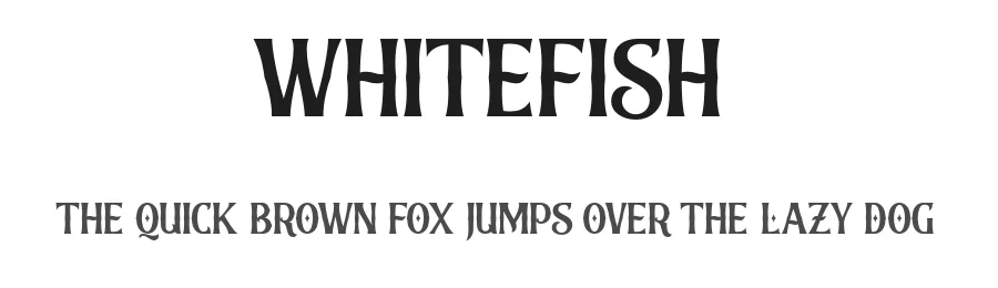 Whitefish by Vunira Design — Sans Serif Font