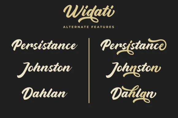 Widati Font by Mbonster Design Studio — Script Handwritten Font — thumbnail 2