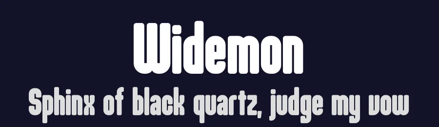 Widemon by Storytype Studio — Sans Serif Font — thumbnail 2