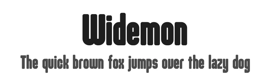 Widemon by Storytype Studio β Sans Serif Font