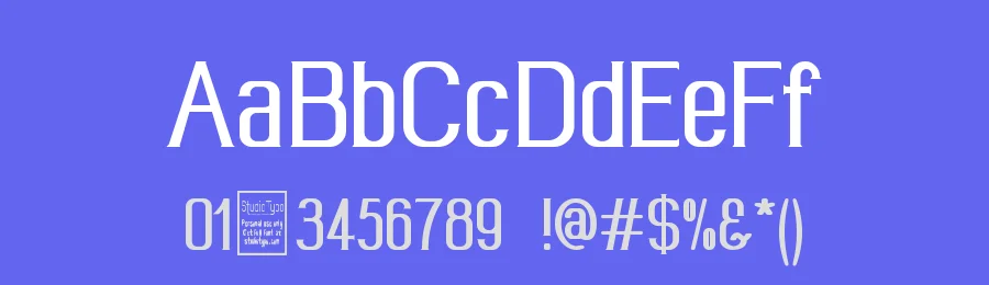 Wideroy by Studio Typo — Serif Font — thumbnail 3
