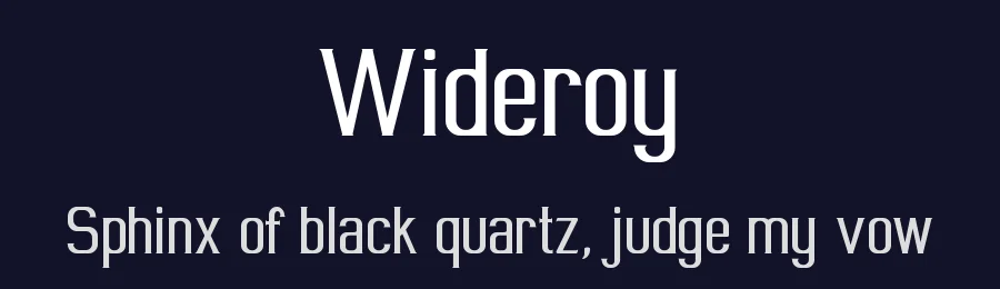 Wideroy by Studio Typo — Serif Font — thumbnail 2