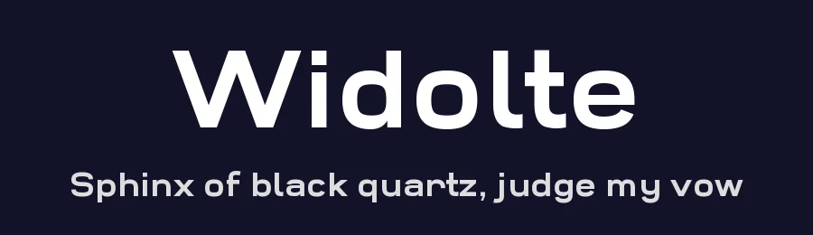 Widolte by Studio Typo — Sans Serif Font — thumbnail 2