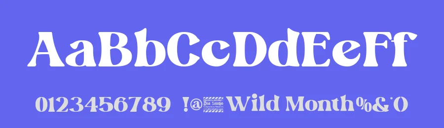 Wild Month by Din Studio — Decorative Font — thumbnail 3