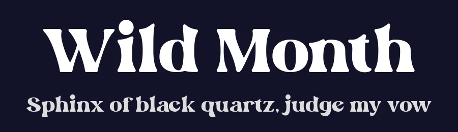 Wild Month by Din Studio — Decorative Font — thumbnail 2