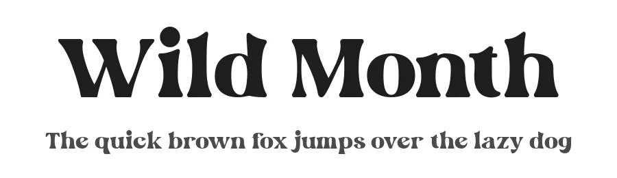 Wild Month by Din Studio — Decorative Font