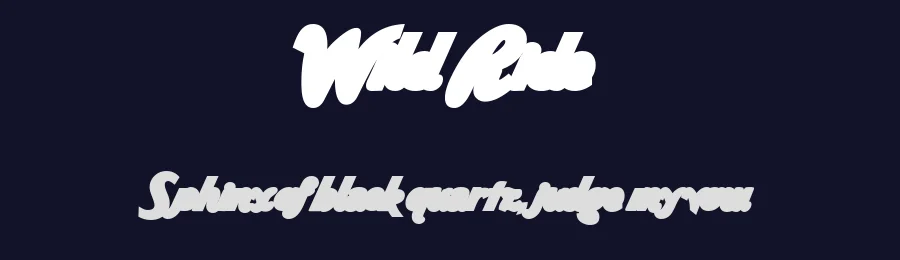Wild Ride by FontMesa LLC — Script Handwritten Font — thumbnail 2