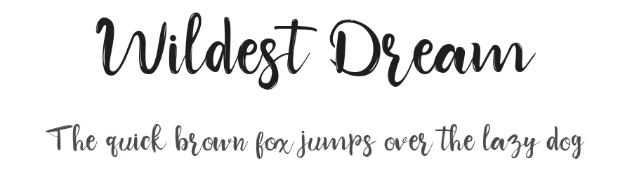 Wildest Dream