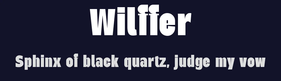 Wilffer by Graphicxell — Sans Serif Font — thumbnail 2