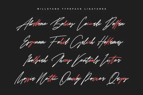 Willstand Duo Font by Maulana Creative — Script Handwritten Font — thumbnail 5